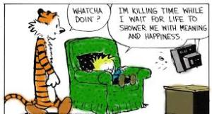 Calvin and Hobbes